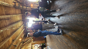 SLM - Team-Brunch_13