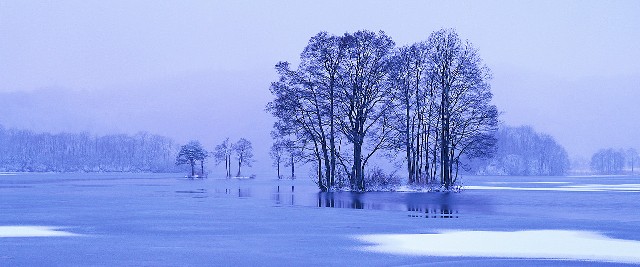 winter