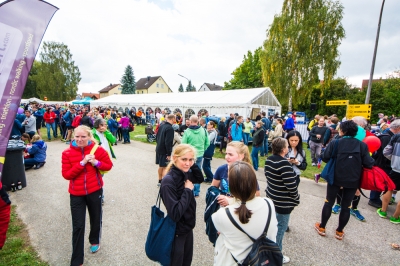 Seenlandmarathon 2015 - Sonntag_111