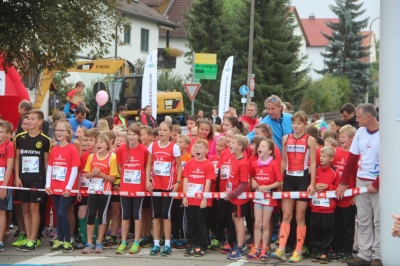 Seenlandmarathon 2015 - Sonntag_59