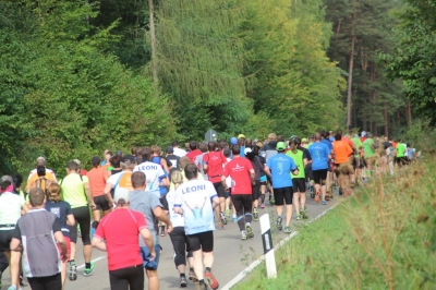 Seenlandmarathon 2015 - Sonntag_85