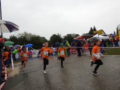 Seenlandmarathon 2016 - Bambinilauf_37