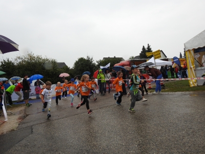 Seenlandmarathon 2016 - Bambinilauf_38