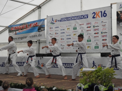 Seenlandmarathon 2016 - Bambinilauf_54