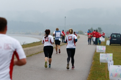 Das Team Seenlandmarathon 2016_4
