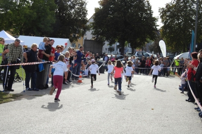 Seenlandmarathon 2018
