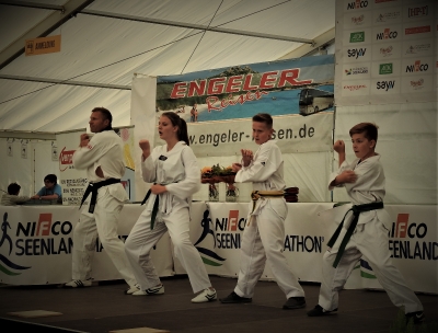 SLM 2019
