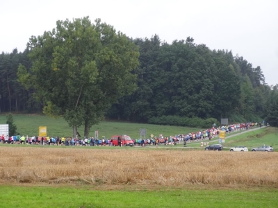Seenlandmartahon 2013_11