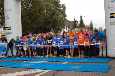 Seenlandmartahon 2013 Helfer_76