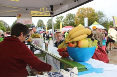 Seenlandmartahon 2014 Helfer_62