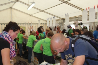 Seenlandmartahon 2014 Helfer_80
